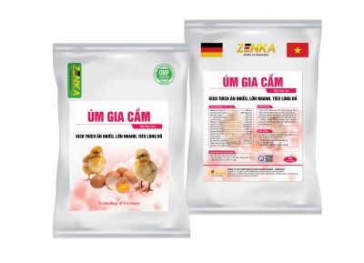 ÚM GIA CẦM