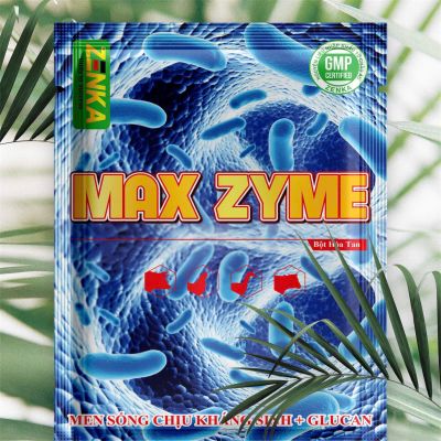 MAX - ZYME (Men sống chịu kháng sinh)