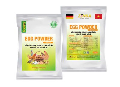 EGG POWDER