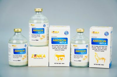 AMOXCIN 150 LA (Hỗn dịch tiêm)