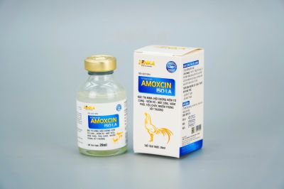 AMOXCIN 150 LA (Hỗn dịch tiêm)