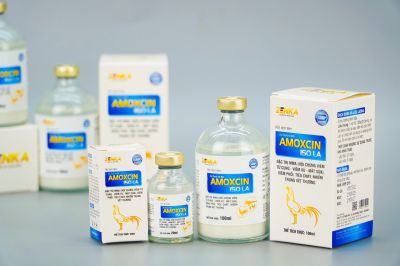 AMOXCIN 150 LA (Hỗn dịch tiêm)