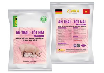 AN THAI - TỐT NÁI