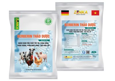 BERBERIN THẢO DƯỢC
