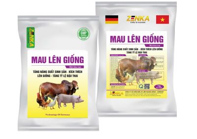 MAU LÊN GIỐNG