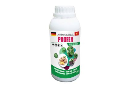 PROFEN