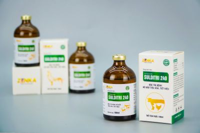 SULDITRI 240 (Dung dịch tiêm)
