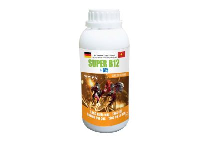 SUPER B12 - B15