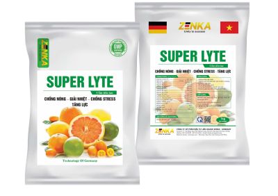 SUPER LYTE