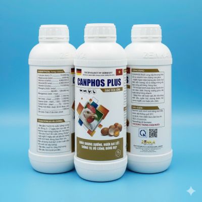 CANPHOS PLUS
