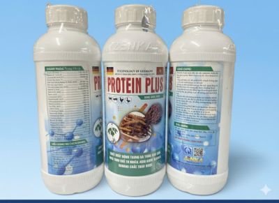 PROTEIN PLUS