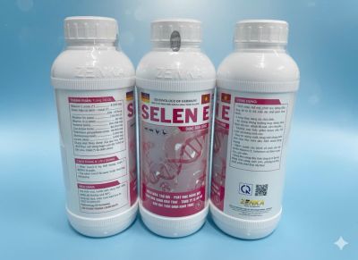 SELEN E